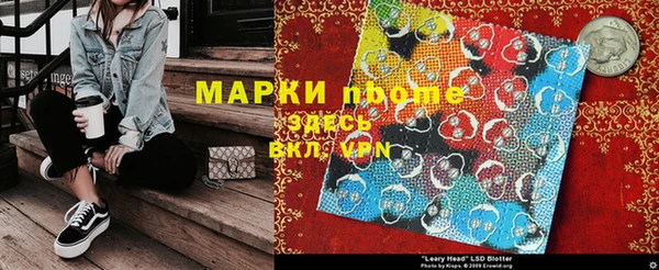 прущие грибы Армянск