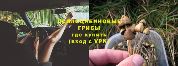 сатива Балахна