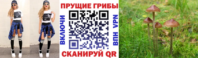 Псилоцибиновые грибы мухоморы  omg ссылки  Михайловка  купить  