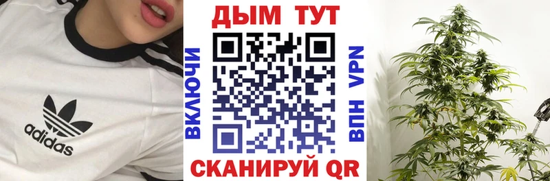 закладка  Михайловка  Каннабис OG Kush 